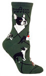 Boston Terrier on hunter PH1043