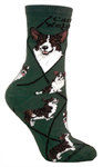 Cardigan Welsh Corgi on hunter PH1047
