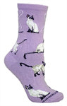 Siamese on light purple PH1011