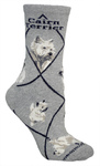 Cairn Terrier on gray PH1067
