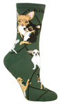 Chihuahua on hunter PH1066
