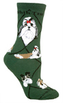 Shih Tzu on hunter PH967