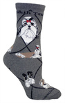 Shih Tzu on dark gray PH968