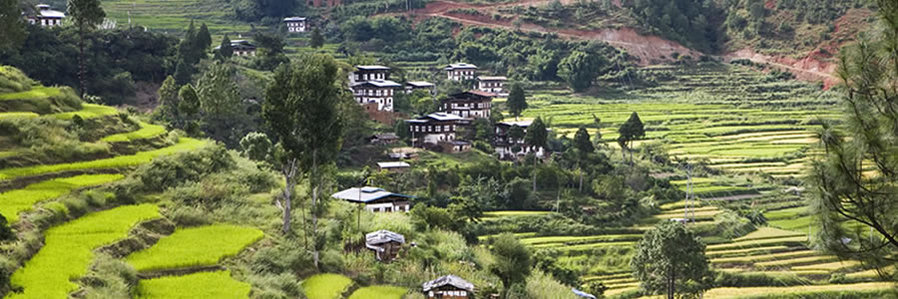 Asia