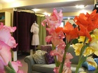 The Boutique at Stowe Mercantile