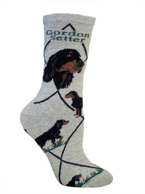 Gordon Setter Gray PH412