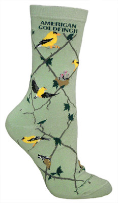 American Goldfinch mint LW582