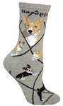 Basenji gray PH1080