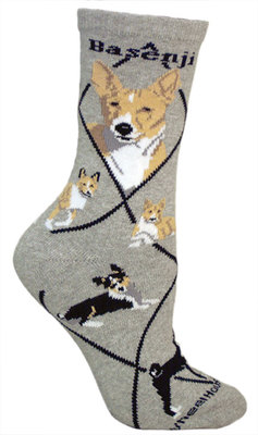 Basenji gray PH1080