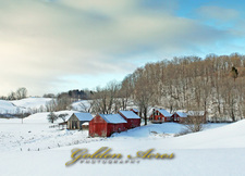 Jenne Farm 2011