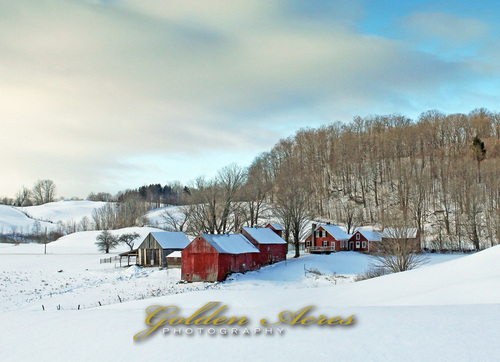 Jenne Farm 2011