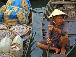 private vietnam tour