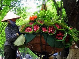 Vietnam Private Tour