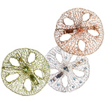 Sand Dollar Hair Barrette