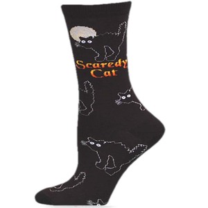 Scaredy Cat