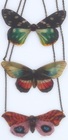 Beijo Brasil Necklaces