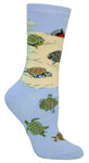 Aquatic Turtles LW592