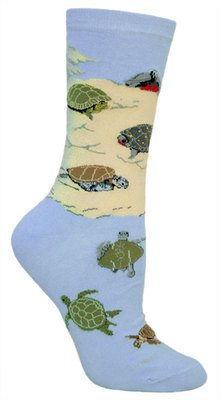 Aquatic Turtles LW592