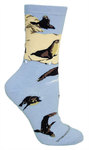 Sea Lions LW591