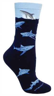 Sharks LW600