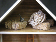 Can you find the mouse in the attic?
