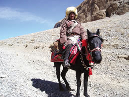 Tour Tibet