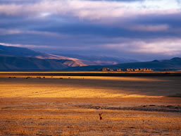 Tibet Scenic Beauty