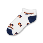 Auburn 528 No Show