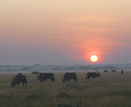 Botswana Kalahari Wilderness Safari