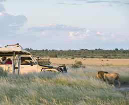 Botswana Kalahari Wilderness Safari