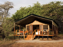 Tanzania Serengeti Wildlife Safari