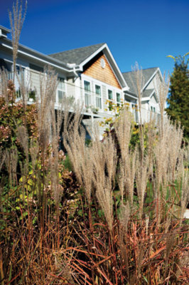 The Lodge at Shelburne Bay Exterior