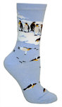 Emperor Penguins LW609