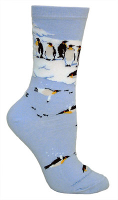 Emperor Penguins LW609