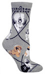 Tibetan Terrier gray PH879