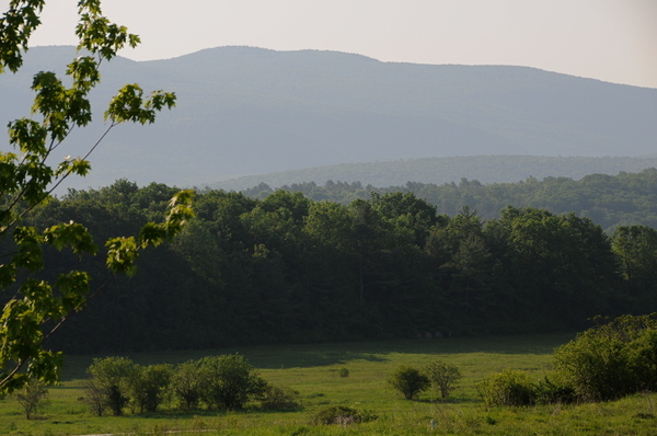The Lodge at Otter Creek