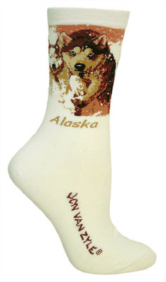 Mush Alaska JVZ6