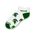 Michigan State 528 No Show