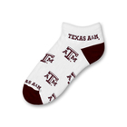 Texas A&M Team 528 No Show