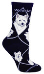 Westie on black PH1159