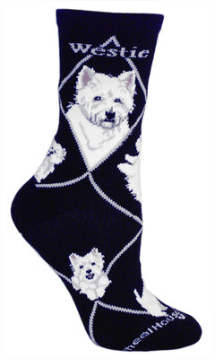 Westie on black PH1159