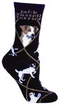 Jack Russell Terrier on black PH1156