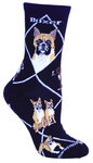 Boxer on black PH1154