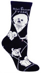 Bichon Frise on black PH1153