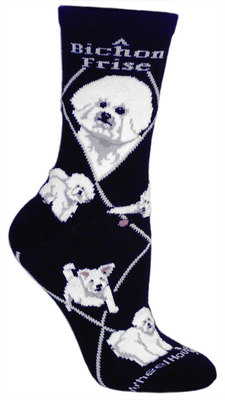 Bichon Frise on black PH1153