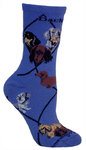 Dachshund, Three on blue PH1179