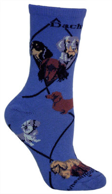 Dachshund, Three on blue PH1179