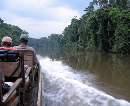 Congo Gorilla Safari - Boundless Journeys