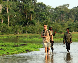 Congo Gorilla Safari - Boundless Journeys