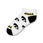 Iowa 528 No Show